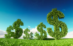 Barclays expands ‘nature-eligible’ activities in sustainable finance frameworks